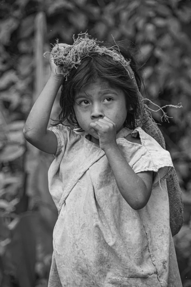 This indigenous child emerged from the leaves on the side of a track whilst I was trekking in Colombia. I only had about 10 seconds before they slipped back into the dense jungle, I am not completely happy with the shot as it was very rushed but sometimes you have to cherish these little surprises that emerge in life and be glad you captured something. Read more here. Sierra Nevada Jungle, Colombia